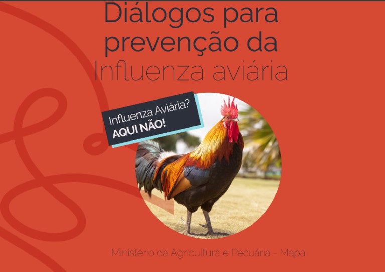 Capa do livro digital “Diálogos para Prevenção da Influenza Aviária”, criado pelo Mapa