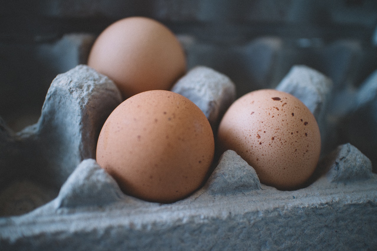 Preço dos ovos e da tilápia atingiram recordes reais na primeira quinzena de fevereiro de 2023