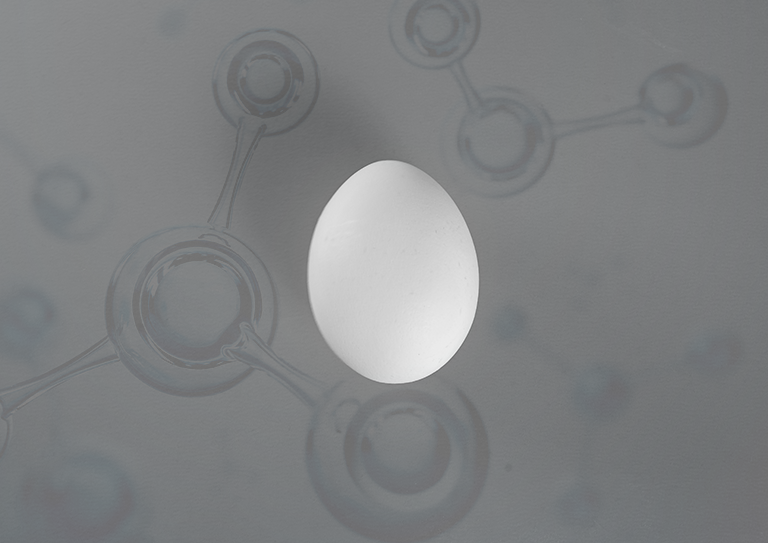 imagem de ovo com células ao fundo. Lecipalm: emulsificante natural parapostura comercial