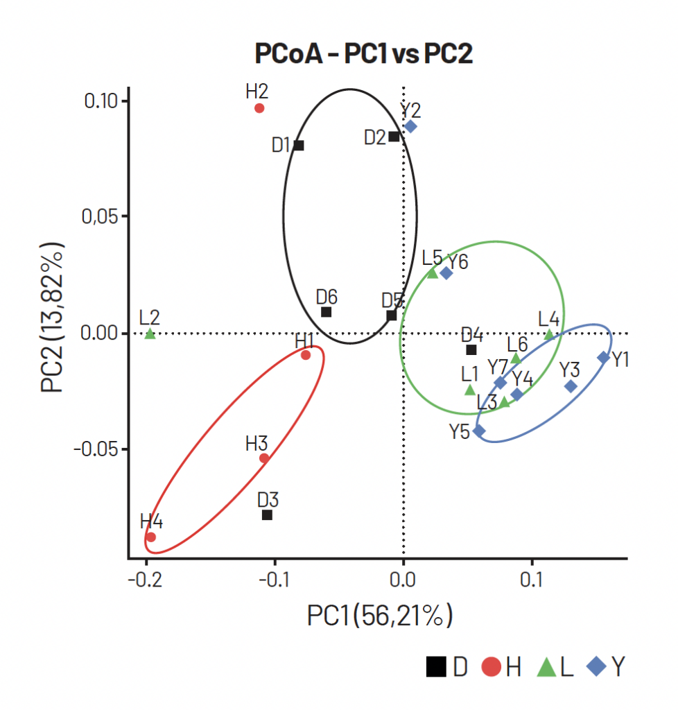 Figura 2. Composição da microbiota fecal de suínos das raças Duroc (D), Yorkshire (Y), Landrace (L) e Hampshire (H). Análise de coordenadas principais (PCoA) baseada na distância UniFrac ponderada. Cada ponto representa uma amostra. O primeiro componente principal é plotado no eixo X e o segundo componente principal no eixo Y. As cores indicam diferentes raças. A porcentagem em cada eixo indica a contribuição para a discrepância entre as amostras. (Xiao, Y. et al., 2017)